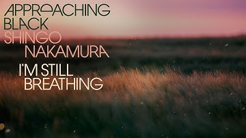 Approaching Black & Shingo Nakamura - I