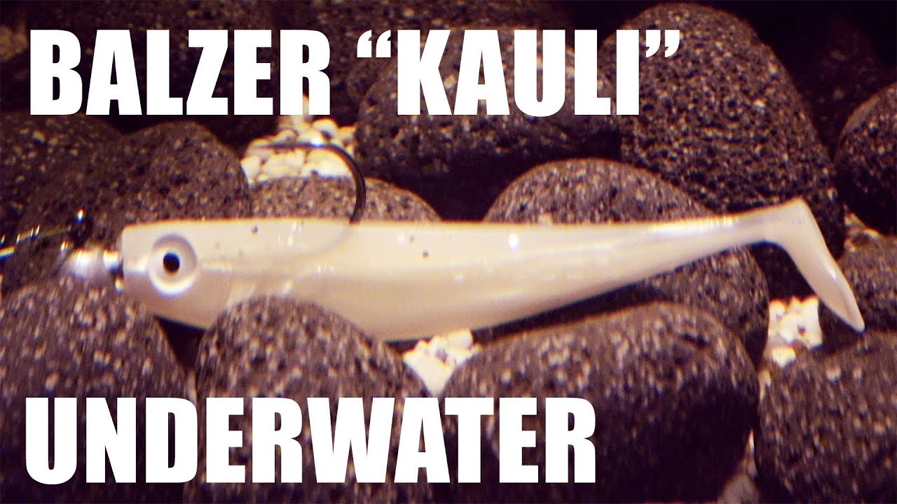 Balzer: Kauli! Lure action! Underwater! Full HD