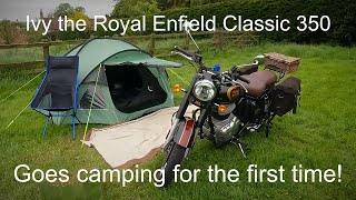 Ivy, The Royal Enfield Classic 350 Goes Camping for the first time
