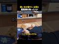 飼い主が寝ている間に扇風機を触ったら