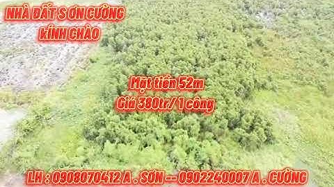 Bán đất mặt tiền đường N2 hướng về Đồng Tháp giá 380tr/ 1 công