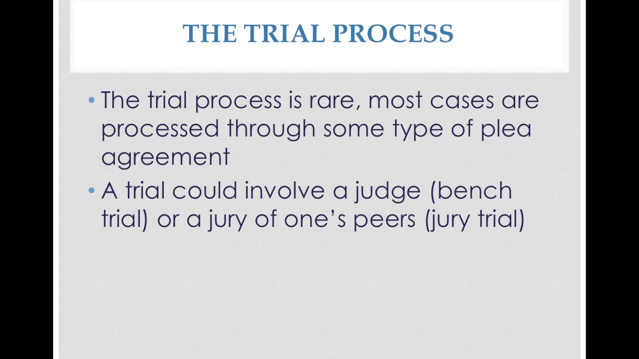 7 Pretrial And Trial Process Youtube