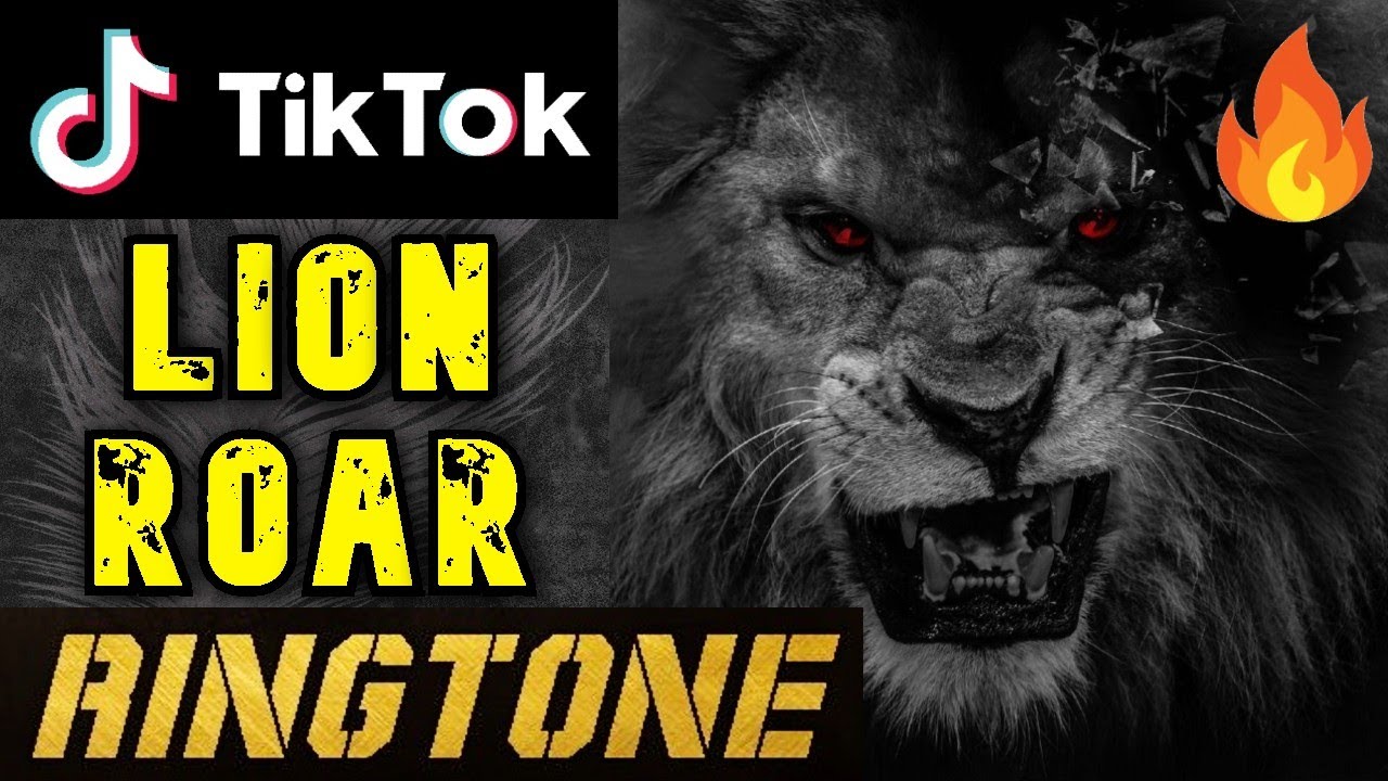 Рингтон что за лев этот тигр. Tik Tok Lion. Лев рок. Лев из тик тока. TIKTOK Lion background.