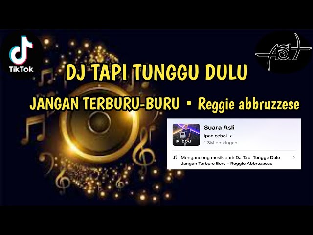DJ TAPI TUNGGU DULU • JANGAN TERBURU-BURU • IPAN CEBOL || VIRAL TIKTOK 2023 class=