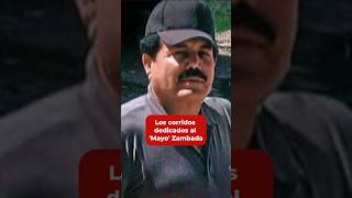 ¡De Los Tucanes de Tijuana a Gerardo Ortiz! Corridos dedicados a Ismael 'El Mayo' Zambada