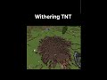 TNT 🥶🥶                                          #minecraft #shorts #shortsfeed #trending #viralvideo