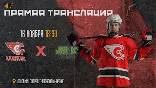 16.11.2023 ХК Сокол VS ХК ЭкоНива-Бобров