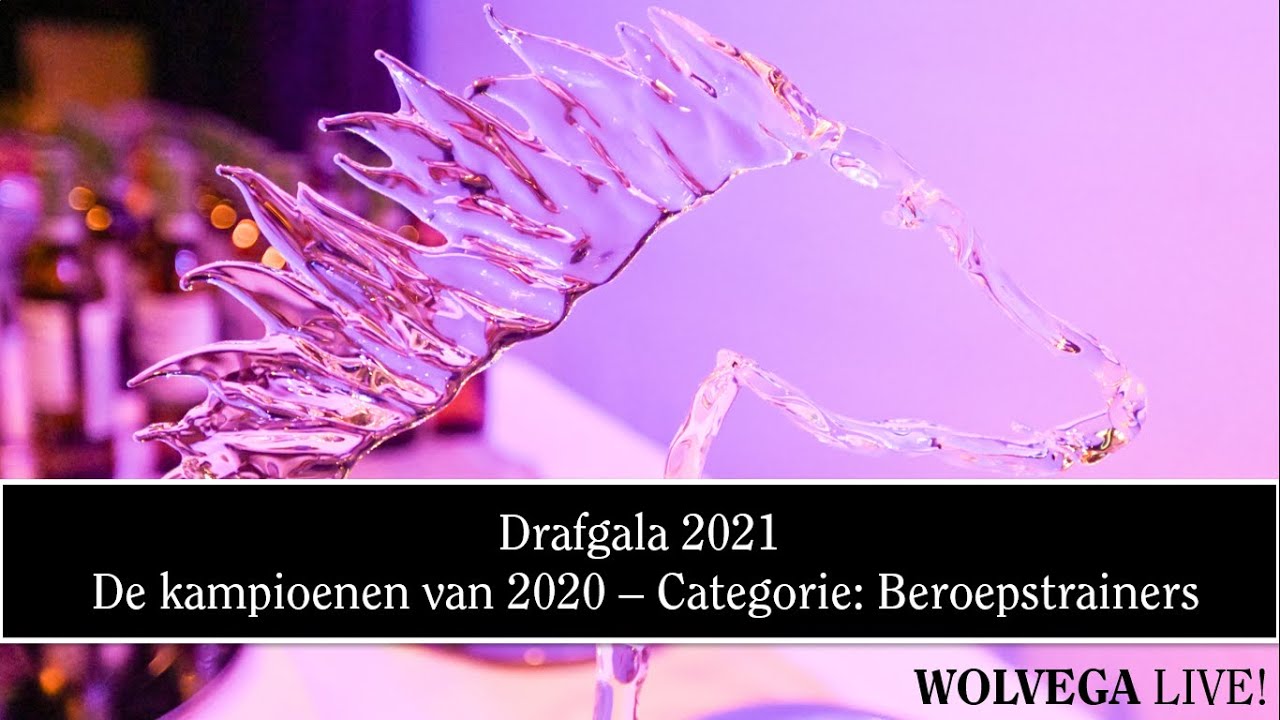 Drafgala 2021: de kampioenen van 2020. Beroepstrainers: Jeroen Engwerda