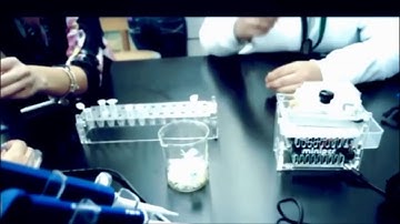 miniPCR in classrooms