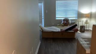 Sneak Peak Of The Move -In Vlog Makeupmesha