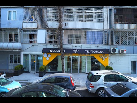 ტენტორიუმი -  კოსტავას N 26