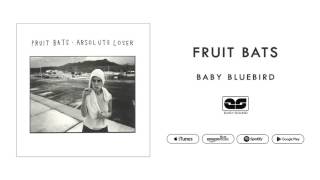 Video thumbnail of "Fruit Bats - Baby Bluebird (Official Audio)"