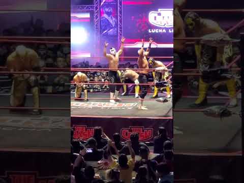 LA REBELION AMARILLA THE CRASH