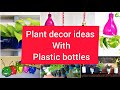 How to decor plants with plastic bottles at home 🏠 destiny world by lechu
