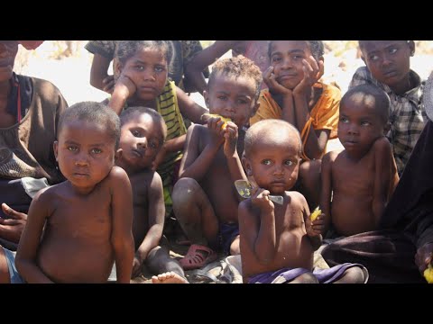 UN sounds alarm over dangerous famine threat in Madagascar