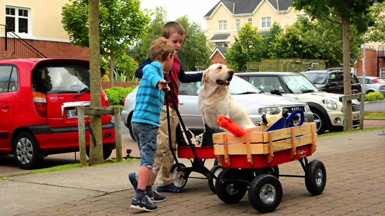 Toby Wagon Promotional Video.