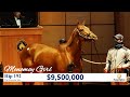 Monomoy Girl sells for $9,500,000 at The November Sale (2020)