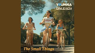 Video thumbnail of "Release - The Small Things (feat. Dim Zach)"