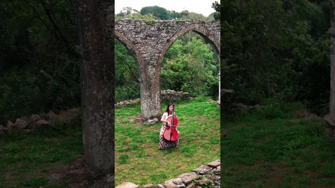 Profound and moving Cello music - "Ask the Bird" - Madeleine Ladore