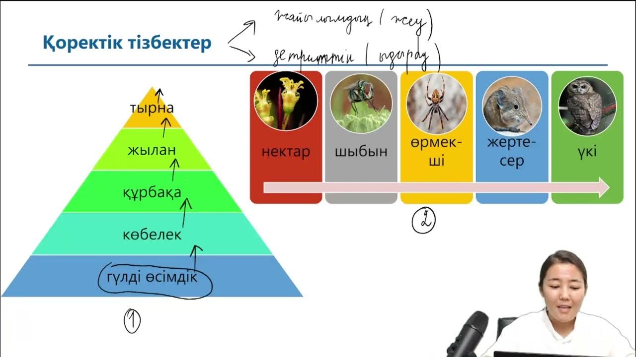 Мен Кировта секс алғым келеді