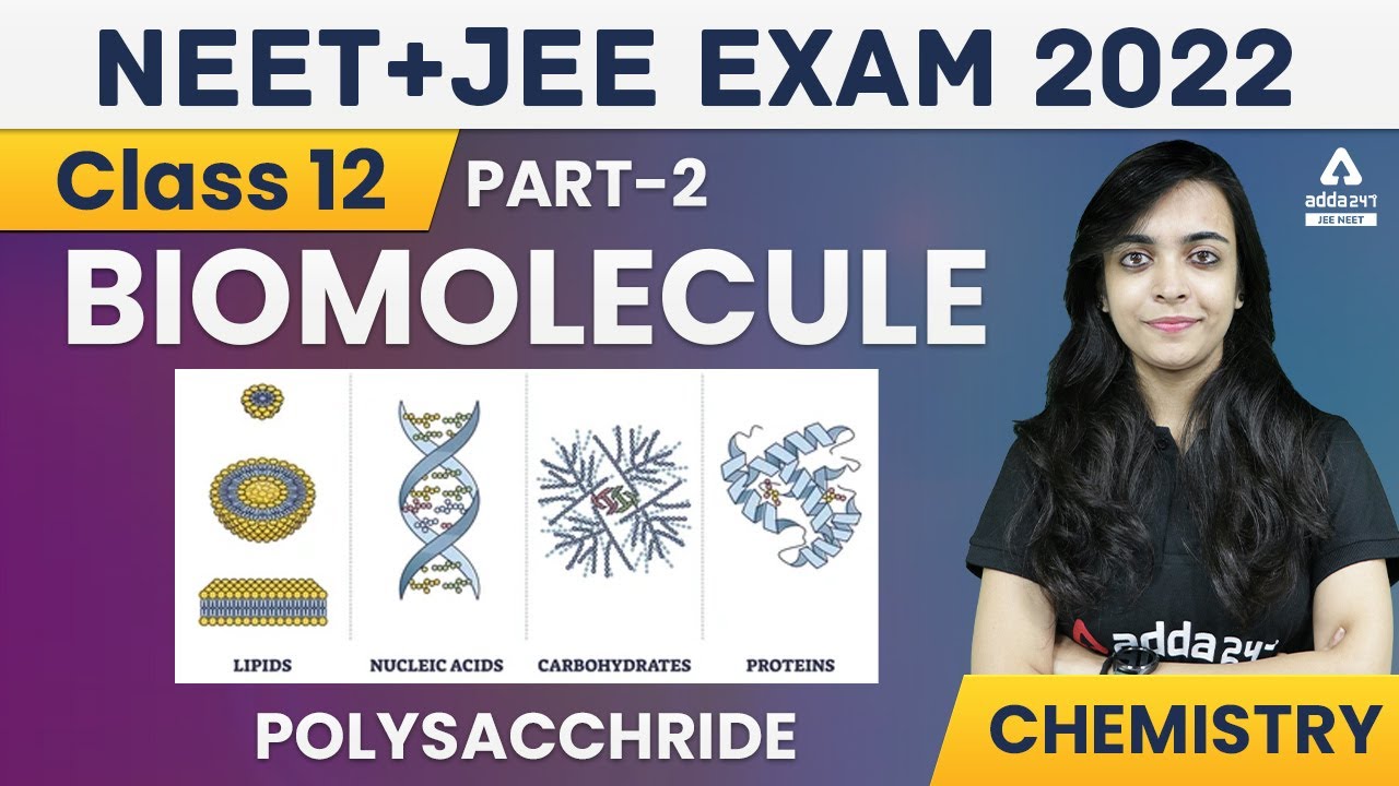Biomolecules Polysaccharides Part 2 Class 12 Chemistry JEE/NEET