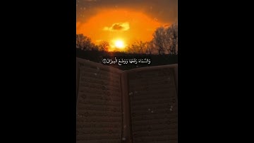 ستوريات ديني /🌱/ الشمس والقمر بحسبان والنجم والشجر يسجدان 🌕☀⭐/🌱/حالات واتس آب قرآن/آيات قرانية قصيرة