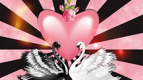 Twin Flames Weekly Energy Reading for May 28 - June 3 - Ascending on this Twin Flame Journey