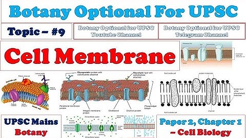 Botany Optional for UPSC: Plasma Membrane: Cell Biology: Lecture 4: Structure and Function: Hindi