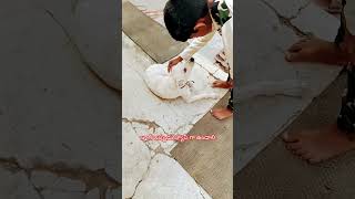 cute 🥰#trending #adoptstrays #funny #friendship #animallovers #lovepets #straydoghero #petshub