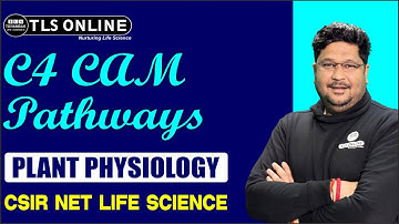 C4 CAM Pathways I Plant Physiology I CSIR NET Life Sciences I Ashish Kr Dwivedi |
