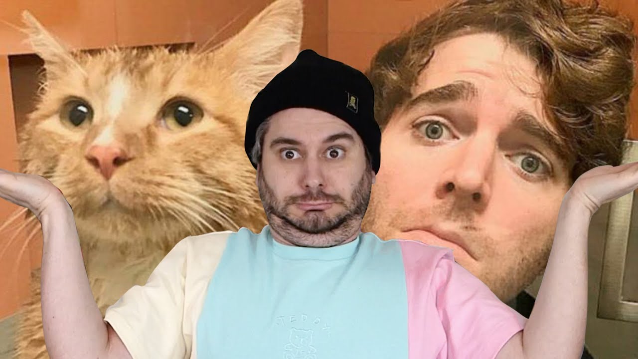 Shane Dawson Cat. Shane Dawson Cat Full. Shane Dawson Cat Reddit. His cat likes