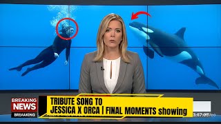 Download Lagu Rihana -Tribute Song:The TERRIFYING Last Moments of Dolphin Trainer Jessica Radcliffe's ORCA Attack? MP3 Download Lagu Rihana -Tribute Song:The TERRIFYING Last Moments of Dolphin Trainer Jessica Radcliffe's ORCA Attack? MP3