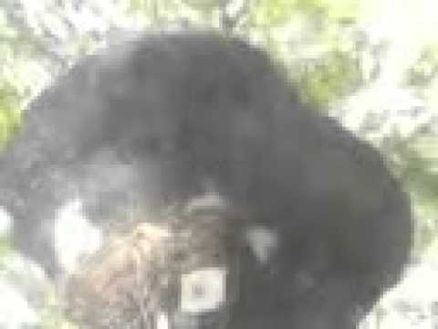 კასრის საყდრობა ჰერეთში 14.04.2015