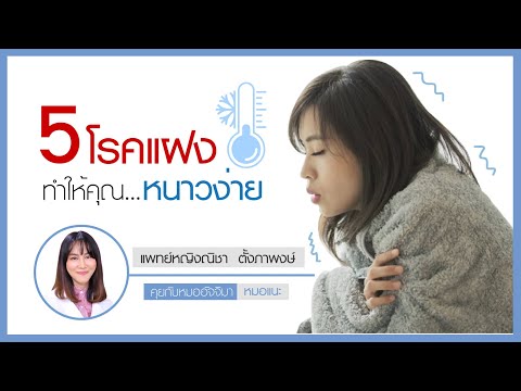 วีดีโอ: 24 สายพันธุ์สุนัขที่แพ้ง่ายสำหรับผู้ที่เป็นโรคภูมิแพ้