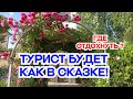 Красота улиц  Имеретинской низменности! Туристу на заметку!