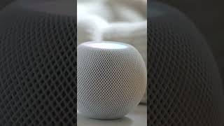 Apples Homepod Vs Homepod Mini Is Bigger Better?