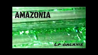 LP GALAXIE - Amazonia