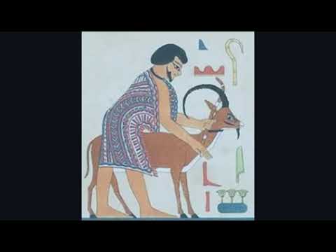 Video: ¿Cuándo expulsó Ahmose a los hicsos de Egipto?