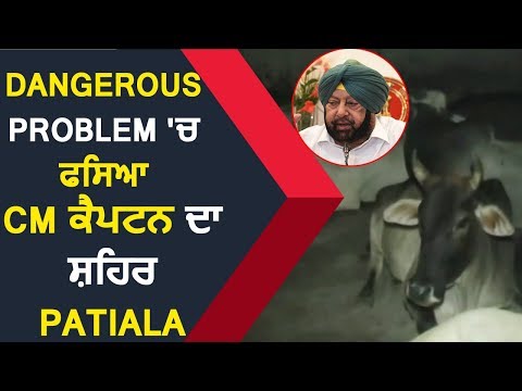 Special Report : देखें किस Dangerous Problem से घिरी है CM Captain की City Patiala