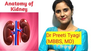 FUNCTIONAL ANATOMY OF EXCRETORY SYSTEM