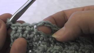 Crocheting a Button Hole