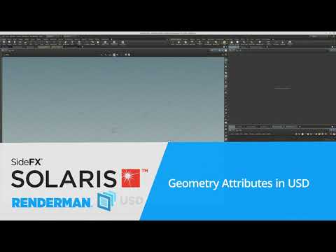 Houdini/Solaris, USD & RenderMan for Beginners #5 | How to Use Geometry Attributes