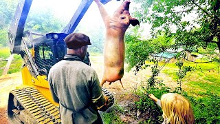 Guiding A Newbie in BUTCHERING PIGS