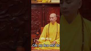 Quay về nương tựa Phật phatphap giacngogiaithoat lời Phật dạy .