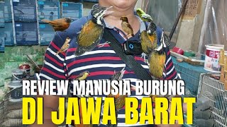 HARGA BURUNG TERBARU DI TAMBUN SELATAN BEKASI JAWA BARAT