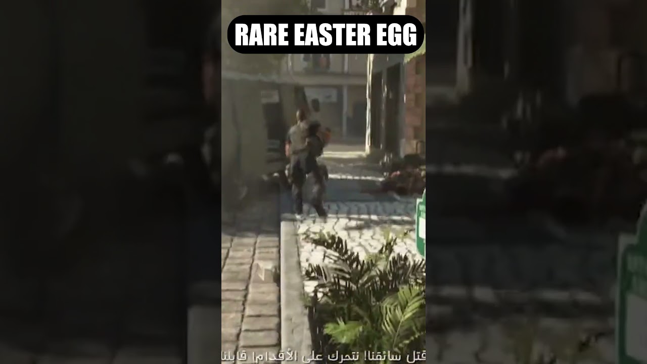RARE EASTER EGG CALL OF DUTY