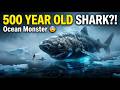 The Greenland Shark: The 500-Year-Old Sea Monster 😨 | Science Documantry
