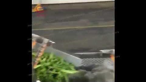 celery washer celery washing machine celery cleaning machine