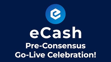 eCash Pre-Consensus Go-Live Celebration (Amaury Séchet, Tobias Ruck, Joey King, and Antony Zegers)