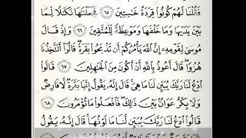 القارئ// عبدالرحمن الغصاب ..ماتيسر من سورة البقرة